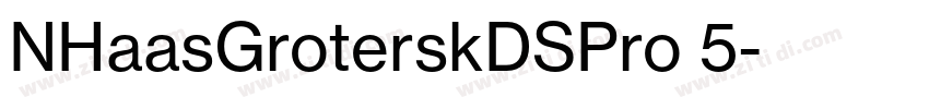 NHaasGroterskDSPro 5字体转换 NHaasGroterskDSPro 5字体转换